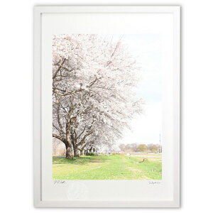 ŉ 珬a (RR)CeA Ǌ| z i |X^[ A[g rO ւɏ  v[g _ A[gt[