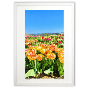 ŉ 2̏t3 (mitan)CeA Ǌ| z i |X^[ A[g rO ւɏ  v[g _ A[gt[