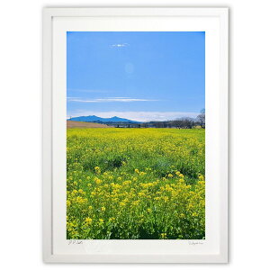 ŉ 2̏t2 (mitan)CeA Ǌ| z i |X^[ A[g rO ւɏ  v[g _ A[gt[