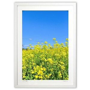 ŉ 2̏t (mitan)CeA Ǌ| z i |X^[ A[g rO ւɏ  v[g _ A[gt[