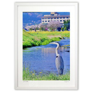 ŉ ̉Ԍ (mitan)CeA Ǌ| z i |X^[ A[g rO ւɏ  v[g _ A[gt[