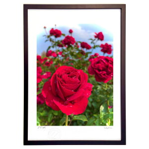 ŉ JKN ()CeA Ǌ| z i |X^[ A[g rO ւɏ  v[g _ A[gt[