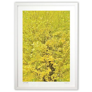 ŉ YELLO (mitan)CeA Ǌ| z i |X^[ A[g rO ւɏ  v[g _ A[gt[