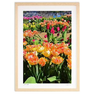 ŉ ACX`[bv (mitan)CeA Ǌ| z i |X^[ A[g rO ւɏ  v[g _ A[gt[