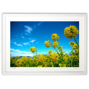 ŉ t̎n܂ (ramble)CeA Ǌ| z i |X^[ A[g rO ւɏ  v[g _ A[gt[