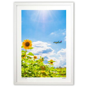 ŉ ^Ă̊y (kihayuni)CeA Ǌ| z i |X^[ A[g rO ւɏ  v[g _ A[gt[