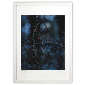 ŉ 閾̐A̐ (Agura)CeA Ǌ| z i |X^[ A[g rO ւɏ  v[g _ A[gt[