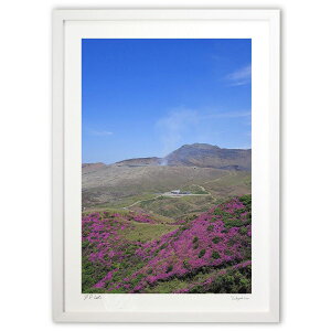 ŉ xƃ~}LV} (mitan)CeA Ǌ| z i |X^[ A[g rO ւɏ  v[g _ A[gt[