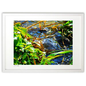 ŉ 󂤂ǂ ({ )CeA Ǌ| z i |X^[ A[g rO ւɏ  v[g _ A[gt[