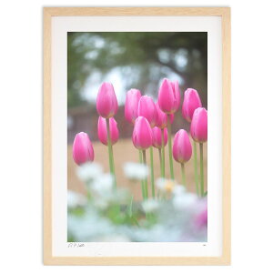 ŉ t҂`[bv ()CeA Ǌ| z i |X^[ A[g rO ւɏ  v[g _ A[gt[