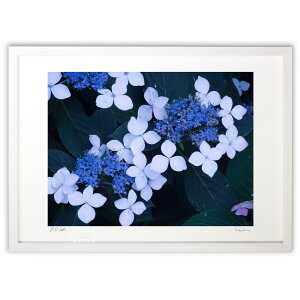 ŉ z (shourena)CeA Ǌ| z i |X^[ A[g rO ւɏ  v[g _ A[gt[