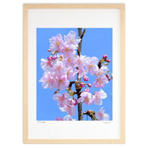 ŉ  (ʍ)CeA Ǌ| z i |X^[ A[g rO ւɏ  v[g _ A[gt[