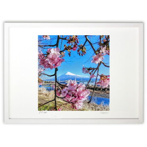 ŉ ͒ÍƕxmR (Katugorou)CeA Ǌ| z i |X^[ A[g rO ւɏ  v[g _ A[gt[