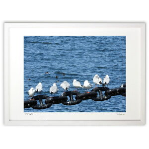 ŉ  (shourena)CeA Ǌ| z i |X^[ A[g rO ւɏ  v[g _ A[gt[