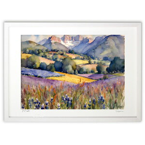 ŉ Ă̖R (feather)CeA Ǌ| z i |X^[ A[g rO ւɏ  v[g _ A[gt[