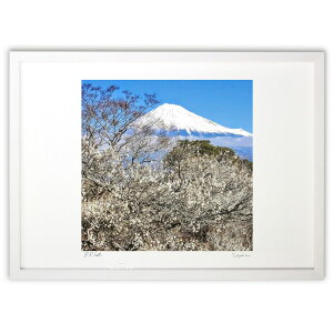 ŉ ~ (Katugorou)CeA Ǌ| z i |X^[ A[g rO ւɏ  v[g _ A[gt[