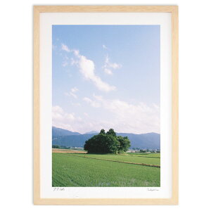 ŉ ˂̗ (IKASHIMA)CeA Ǌ| z i |X^[ A[g rO ւɏ  v[g _ A[gt[