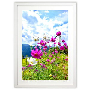 ŉ rRXX (mitan)CeA Ǌ| z i |X^[ A[g rO ւɏ  v[g _ A[gt[