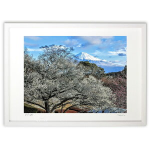 ŉ ~ƕxmR (Katugorou)CeA Ǌ| z i |X^[ A[g rO ւɏ  v[g _ A[gt[