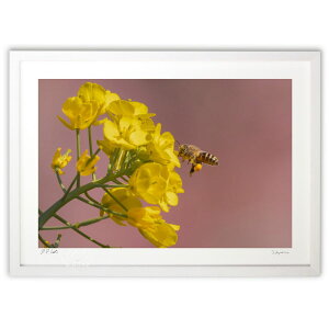 ŉ t̖ (䐬M)CeA Ǌ| z i |X^[ A[g rO ւɏ  v[g _ A[gt[