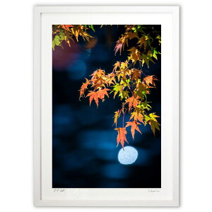 ŉ ݂̎ (䐬M)CeA Ǌ| z i |X^[ A[g rO ւɏ  v[g _ A[gt[