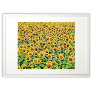 ŉ ^Ă̂Ђ܂ (mitan)CeA Ǌ| z i |X^[ A[g rO ւɏ  v[g _ A[gt[