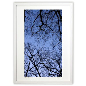 ŉ ͂؂̃A[g (Agura)CeA Ǌ| z i |X^[ A[g rO ւɏ  v[g _ A[gt[