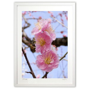 ŉ ɂƂ (ʍ)CeA Ǌ| z i |X^[ A[g rO ւɏ  v[g _ A[gt[