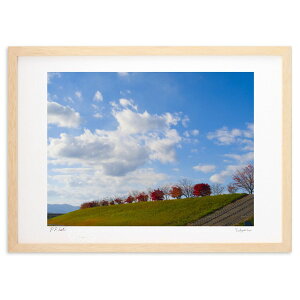 ŉ H̐F ()CeA Ǌ| z i |X^[ A[g rO ւɏ  v[g _ A[gt[