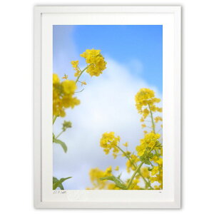 ŉ ؂̉ԂƋ ()CeA Ǌ| z i |X^[ A[g rO ւɏ  v[g _ A[gt[