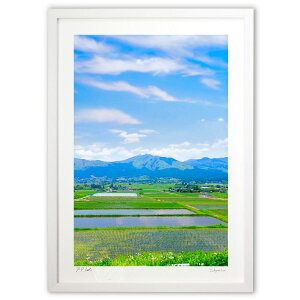 ŉ cA̕i (mitan)CeA Ǌ| z i |X^[ A[g rO ւɏ  v[g _ A[gt[