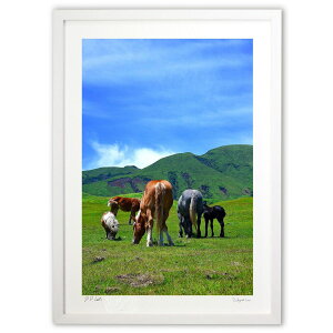 ŉ t@~[ (mitan)CeA Ǌ| z i |X^[ A[g rO ւɏ  v[g _ A[gt[