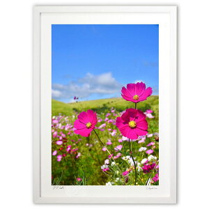 ŉ ̃LpX (mitan)CeA Ǌ| z i |X^[ A[g rO ւɏ  v[g _ A[gt[