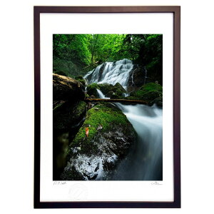 ŉ [΂̐X (mariko.s)CeA Ǌ| z i |X^[ A[g rO ւɏ  v[g _ A[gt[