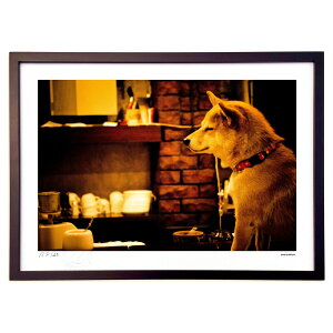 ŉ ̋ (kihayuni)CeA Ǌ| z i |X^[ A[g rO ւɏ  v[g _ A[gt[