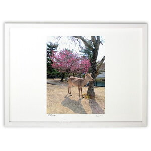 ŉ ~Ǝ (maydt)CeA Ǌ| z i |X^[ A[g rO ւɏ  v[g _ A[gt[