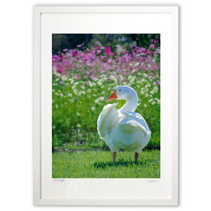 ŉ 킽LCH (crazetaka)CeA Ǌ| z i |X^[ A[g rO ւɏ  v[g _ A[gt[