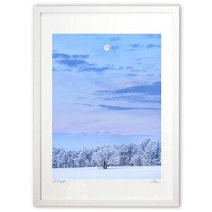 ŉ L̓~ (mariko.s)CeA Ǌ| z i |X^[ A[g rO ւɏ  v[g _ A[gt[