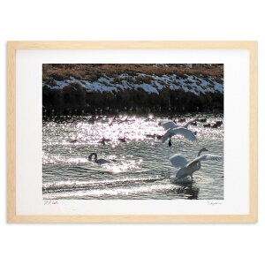 ŉ Ƀ_Cu (VՂ܂񂶂イ)CeA Ǌ| z i |X^[ A[g rO ւɏ  v[g _ A[gt[