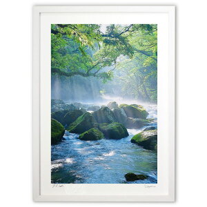 ŉ [΂̌ (mitan)CeA Ǌ| z i |X^[ A[g rO ւɏ  v[g _ A[gt[