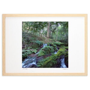 ŉ V΂̉Z̑ (maydt)CeA Ǌ| z i |X^[ A[g rO ւɏ  v[g _ A[gt[