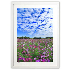 ŉ HƃRXX (mitan)CeA Ǌ| z i |X^[ A[g rO ւɏ  v[g _ A[gt[