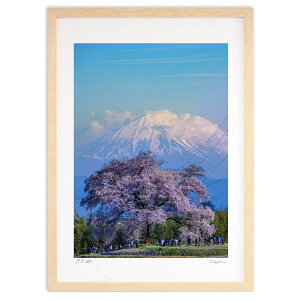 ŉ ɒ˂̈{ (marbo)CeA Ǌ| z i |X^[ A[g rO ւɏ  v[g _ A[gt[