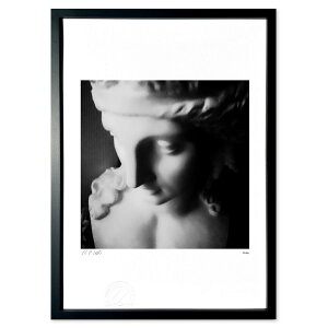 �ŉ� �A���A�X�̂��镗�i (Old'sGallery)