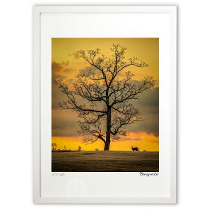 ŉ ŉ ĂFɉf(c) (xW[)CeA Ǌ| z i |X^[ A[g rO ւɏ  v[g _ A[gt[