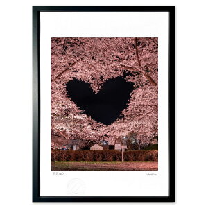 ŉ Sakura (Kouki)CeA Ǌ| z i |X^[ A[g rO ւɏ  v[g _ A[gt[