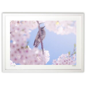 ŉ t̑ (kihayuni)CeA Ǌ| z i |X^[ A[g rO ւɏ  v[g _ A[gt[