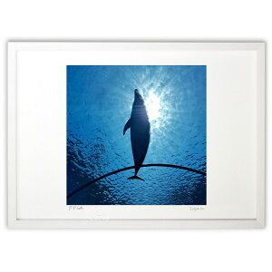 ŉ Ղ̈ꖇ (114)CeA Ǌ| z i |X^[ A[g rO ւɏ  v[g _ A[gt[