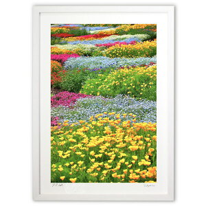 ŉ ԉ (mitan)CeA Ǌ| z i |X^[ A[g rO ւɏ  v[g _ A[gt[