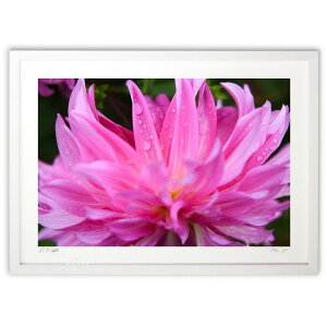 ŉ _A (m.o)CeA Ǌ| z i |X^[ A[g rO ւɏ  v[g _ A[gt[